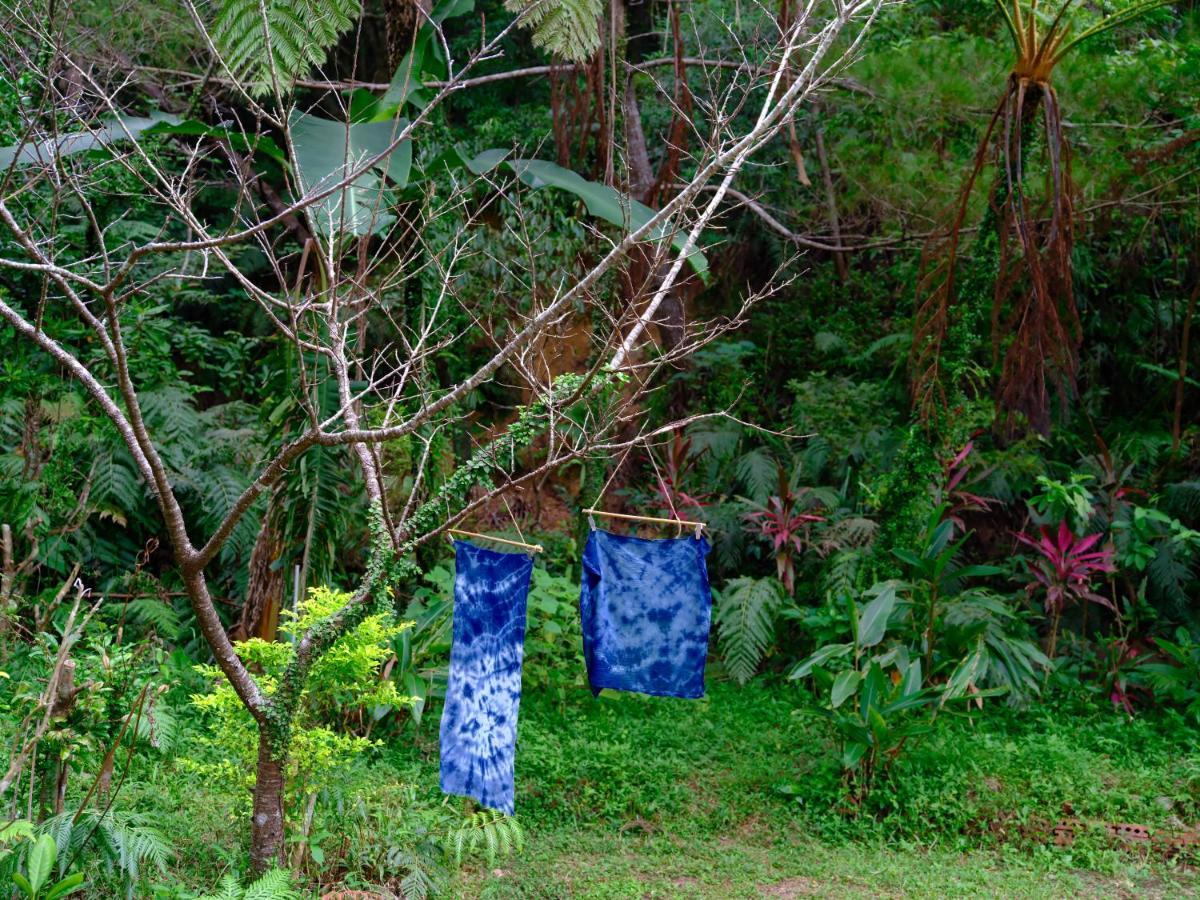 Yama'Oto - Nature Luxury Stay โมโตบุ ภายนอก รูปภาพ