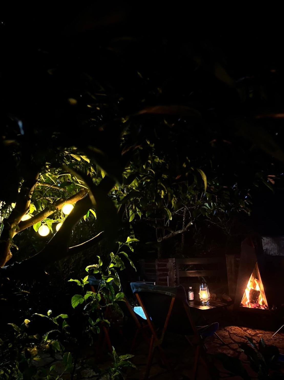 Yama'Oto - Nature Luxury Stay โมโตบุ ภายนอก รูปภาพ