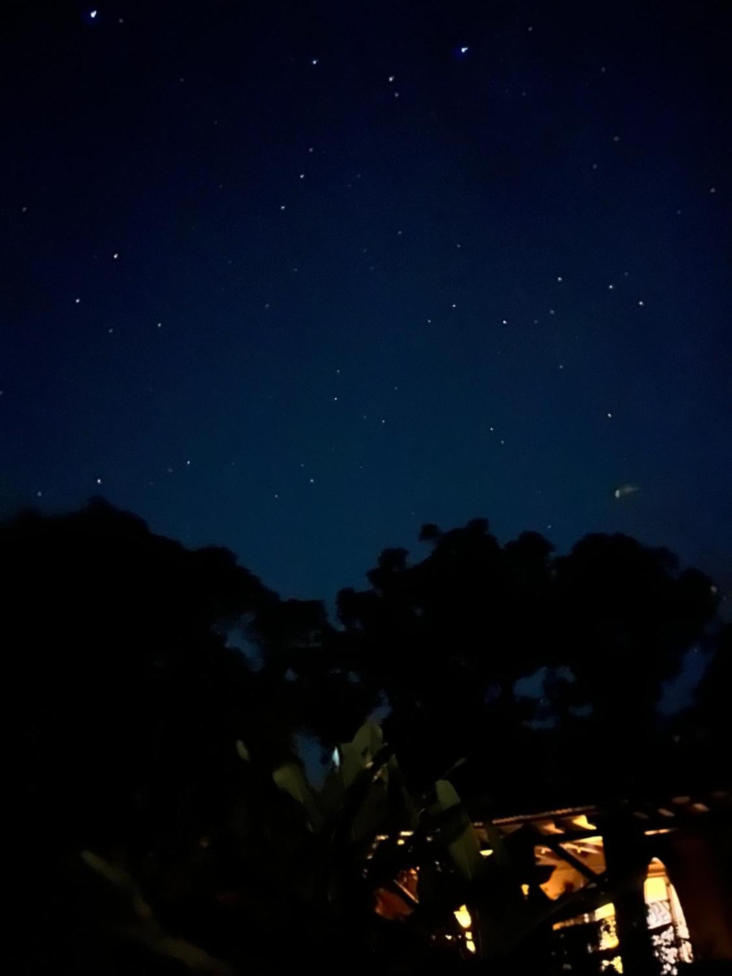 Yama'Oto - Nature Luxury Stay โมโตบุ ภายนอก รูปภาพ